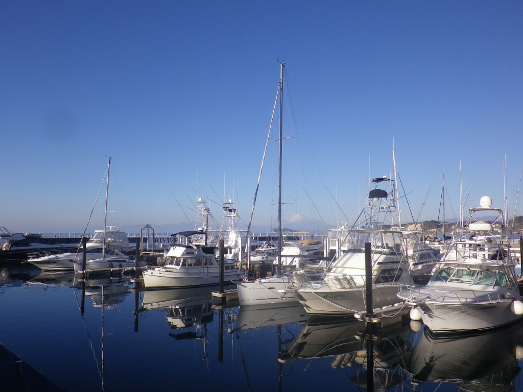 最新】神奈川県逗子市のUber Eats(ウーバーイーツ)対応エリア