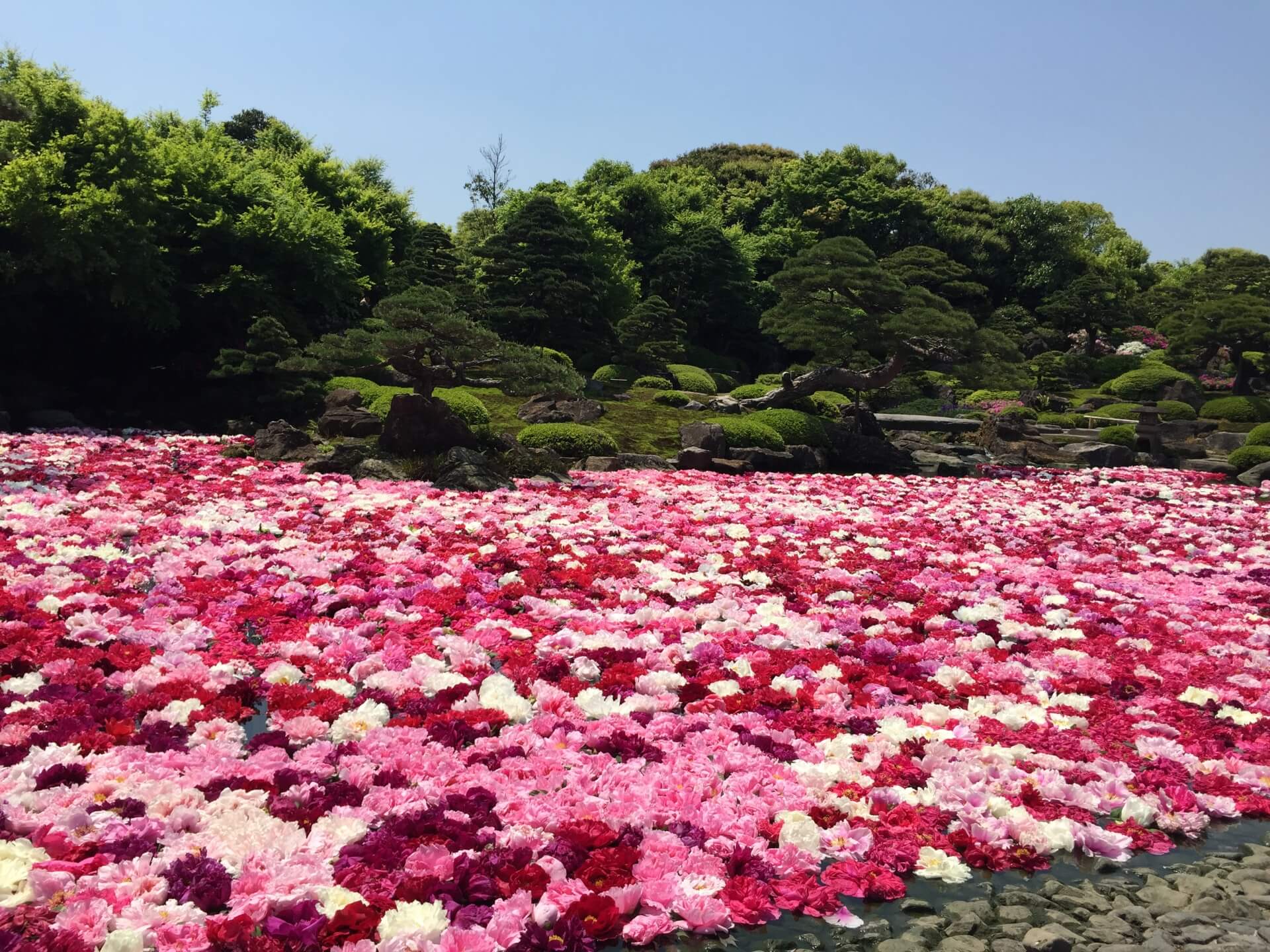 松江市のUber Eats(ウーバーイーツ)対応エリア・範囲[配達員登録